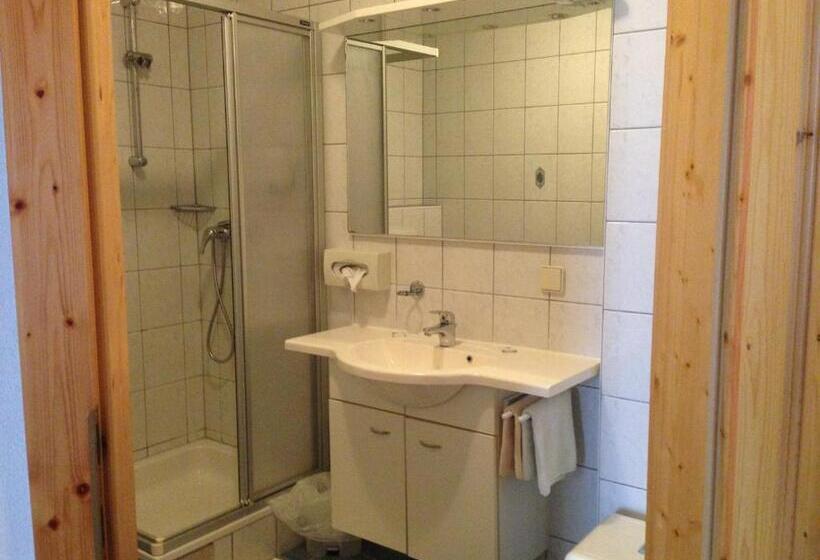 旅馆 Alpengasthof Hoiswirt