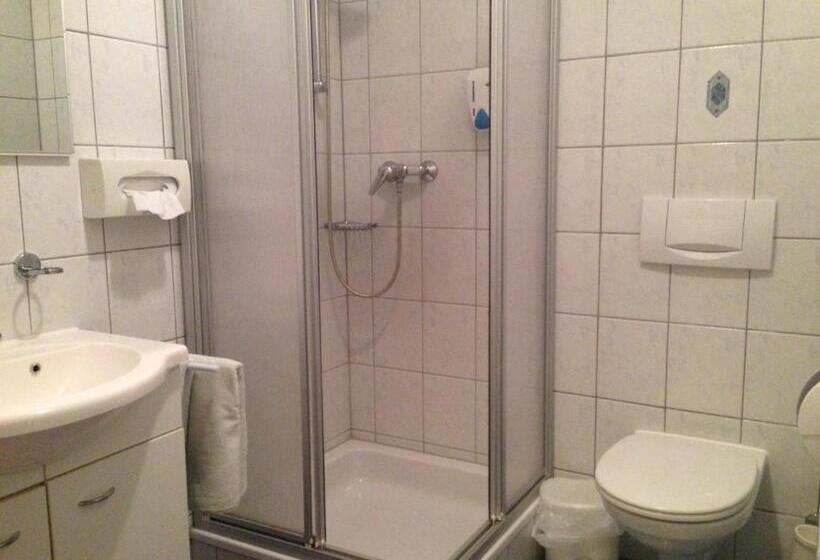 旅馆 Alpengasthof Hoiswirt