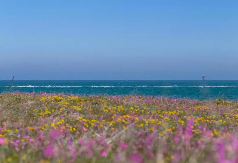 تختخواب و صبحانه Albatros