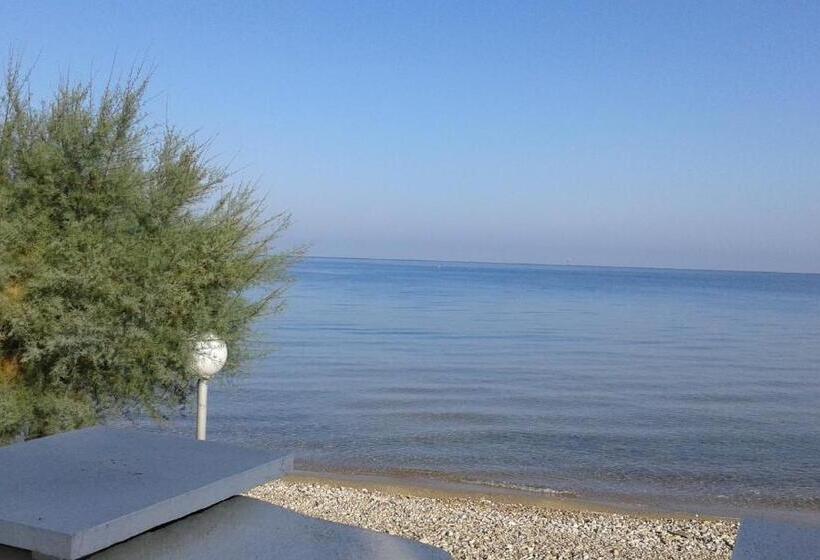 住宿加早餐 Albatros