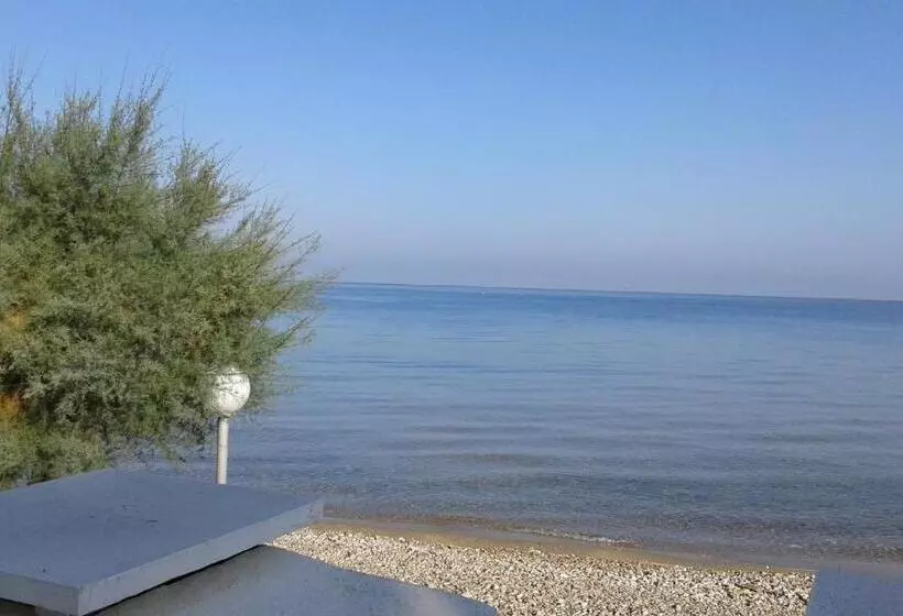تختخواب و صبحانه Albatros