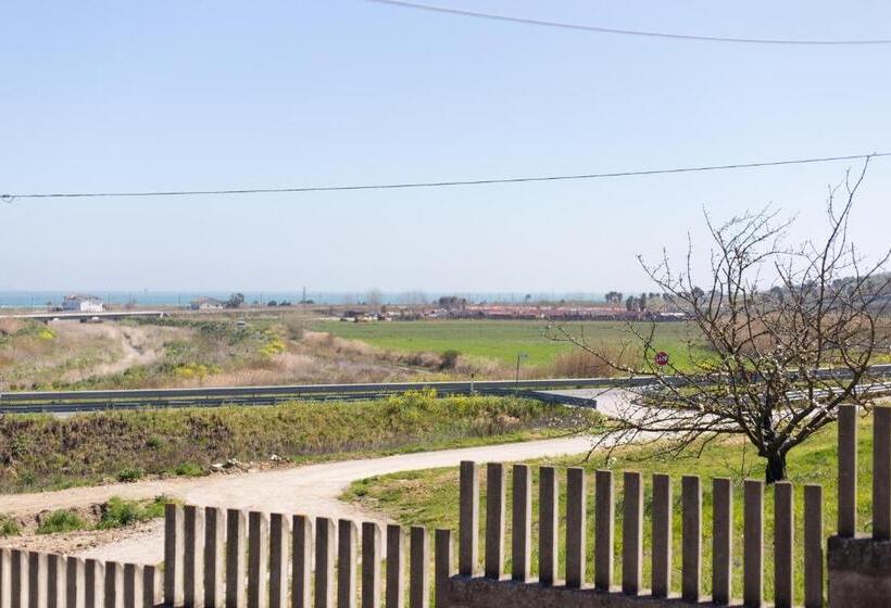 住宿加早餐 Albatros