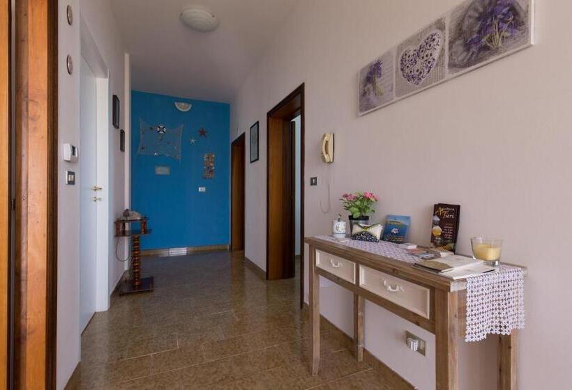 住宿加早餐 Albatros