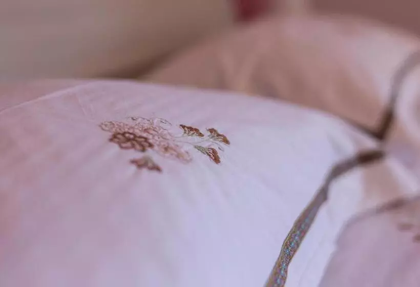 تختخواب و صبحانه Albatros