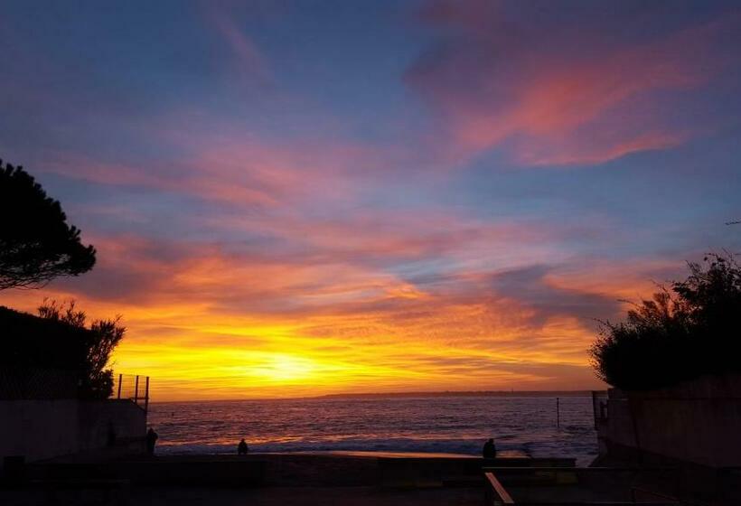 Bed and Breakfast Chambre Proche Dune Du Pyla