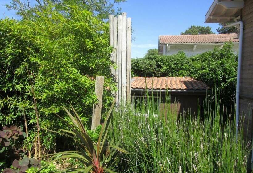 Bed and Breakfast Chambre Proche Dune Du Pyla