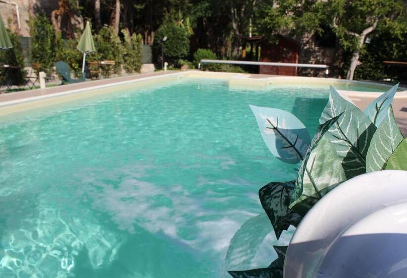 Bed and Breakfast Domus Relax