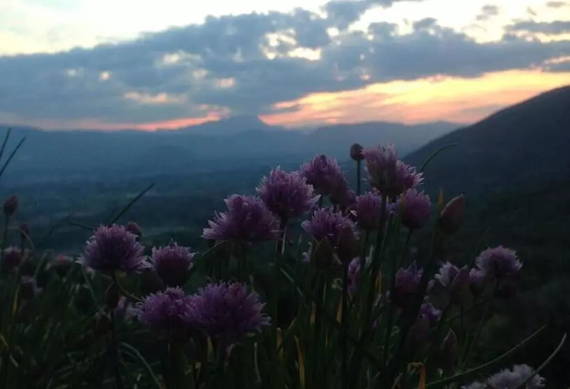 تختخواب و صبحانه L Incanto Di Maja