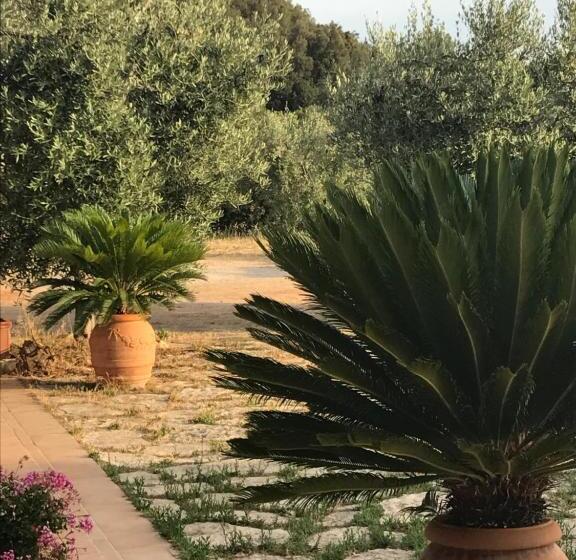 Bed and Breakfast Stella D Argento