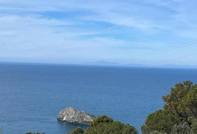 Bed and Breakfast Stella D Argento