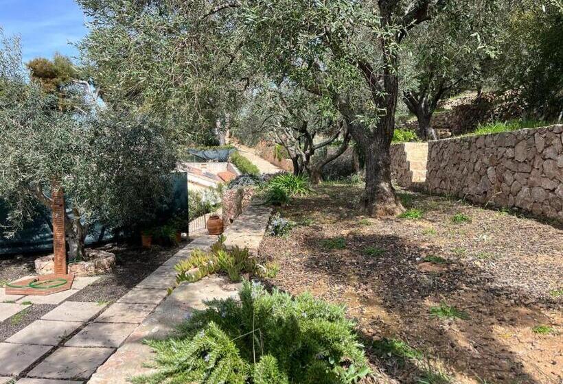 Bed and Breakfast Stella D Argento