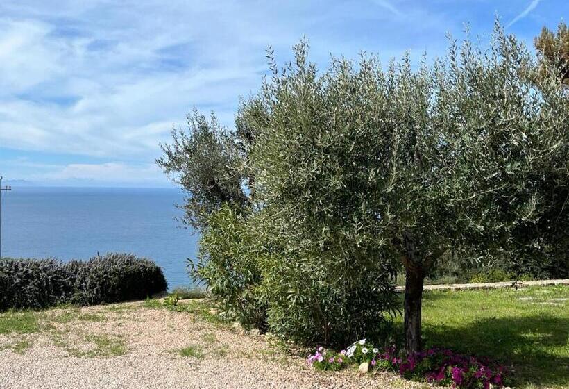 Bed and Breakfast Stella D Argento