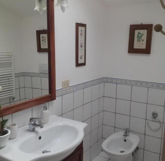 Bed and Breakfast Stella D Argento