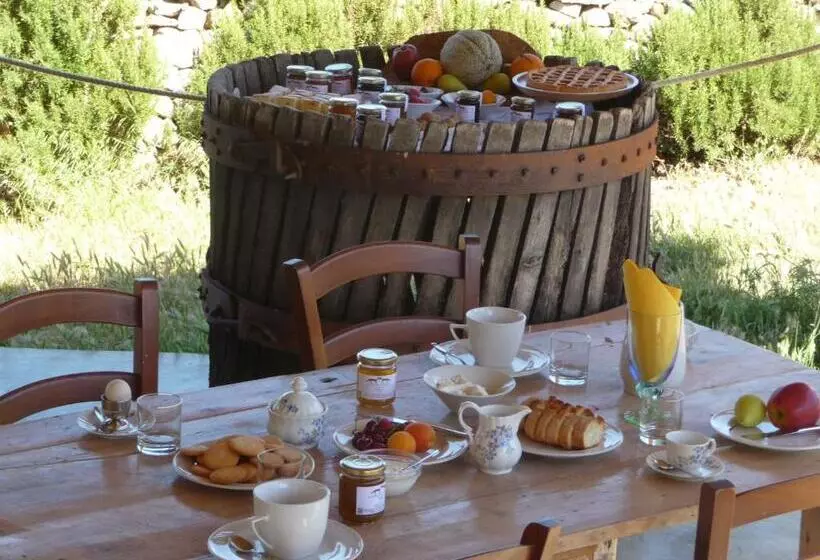 هتل Agriturismo La Tana Di Lu Maccioni