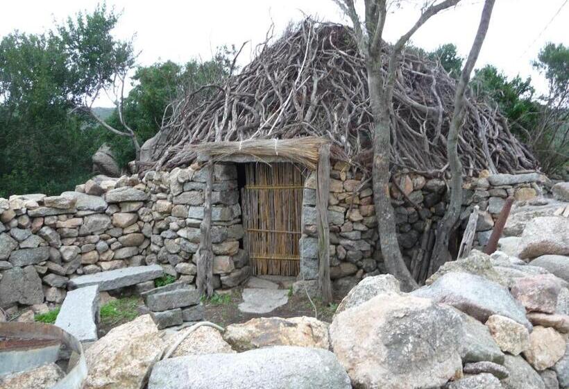 호텔 Agriturismo La Tana Di Lu Maccioni