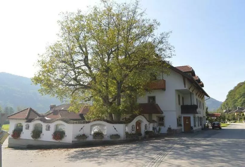 ホテル Pension Hinterleithner