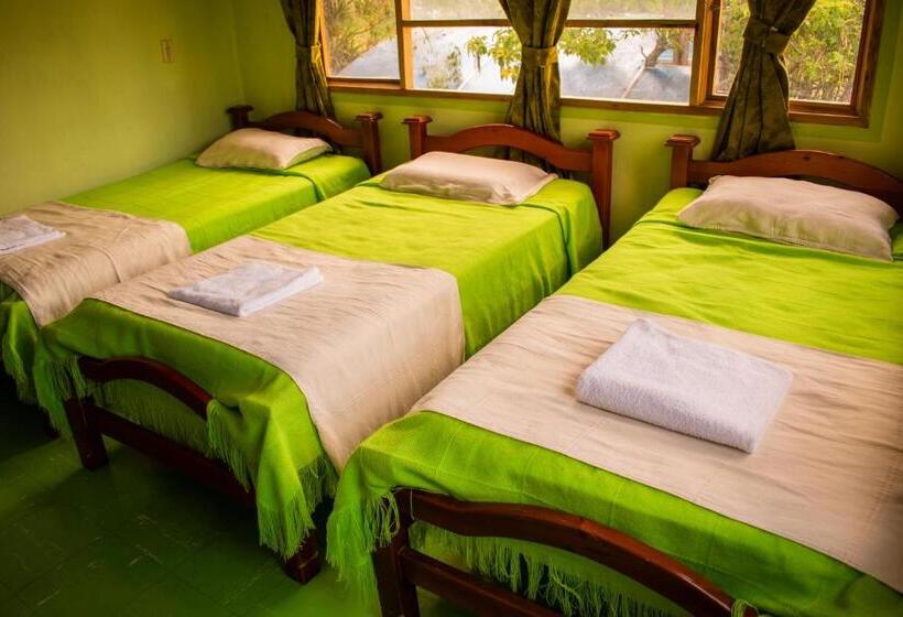 هاستل Miramonte Hostal