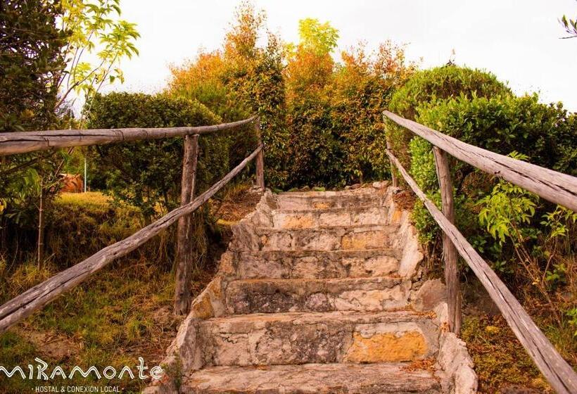 هاستل Miramonte Hostal