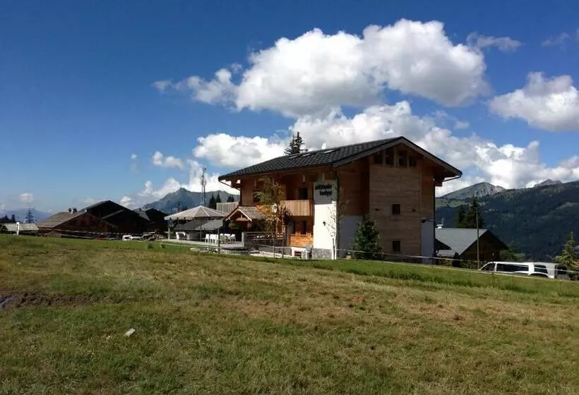 هتل Altitude Lodge