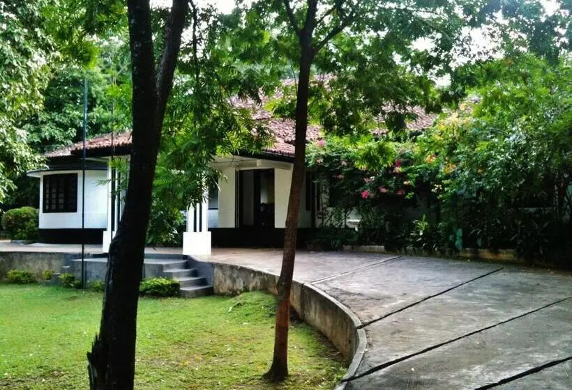 ホテル Clover Grange Home Stay