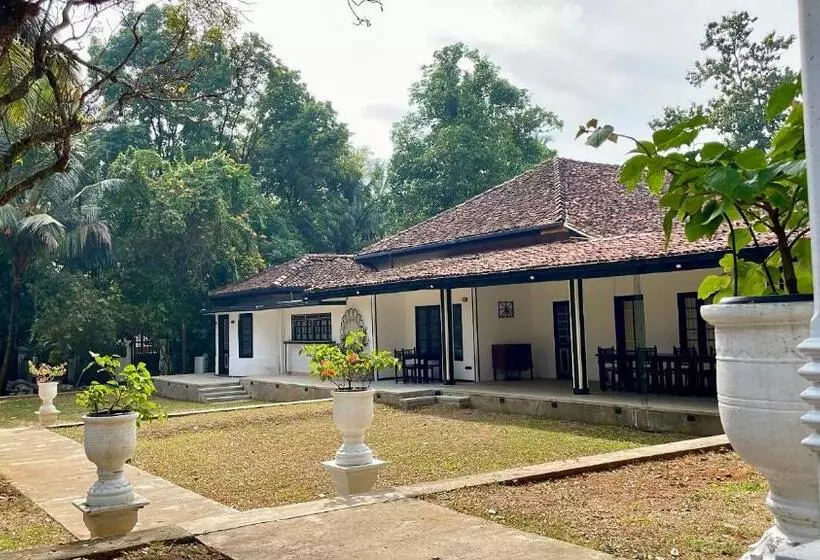 ホテル Clover Grange Home Stay