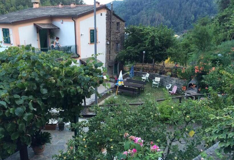 膳宿费 Affittacamere La Quiete