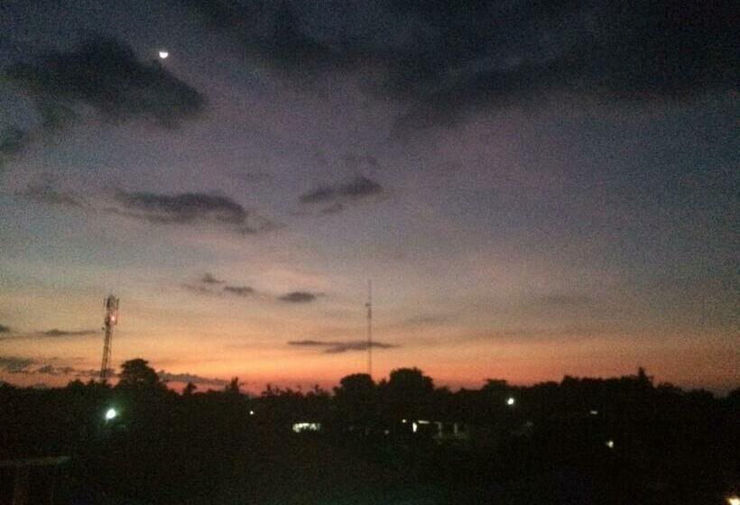 بنسيون Bottelmania