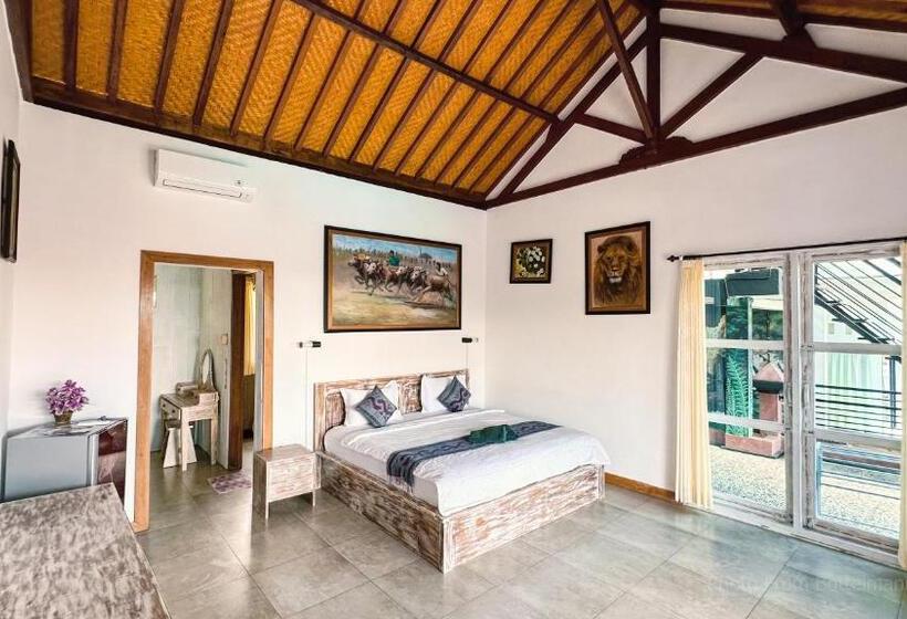 بنسيون Bottelmania