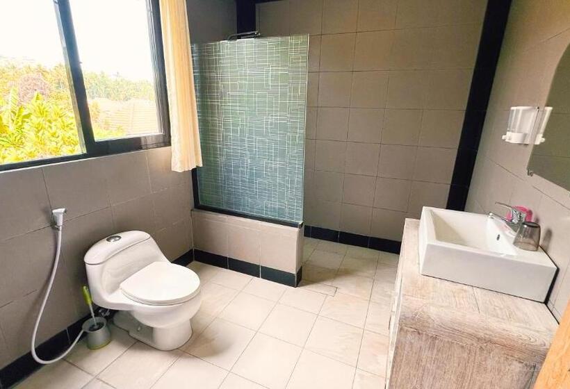 بنسيون Bottelmania