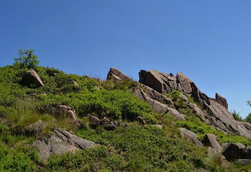 膳宿费 Klügelhütte