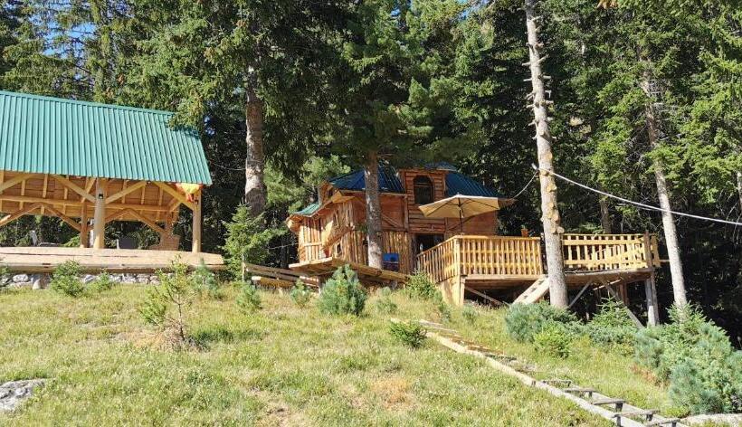 پانسیون Pinetrees Lodge