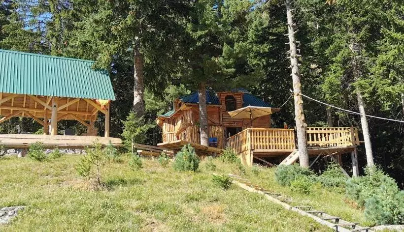 پانسیون Pinetrees Lodge