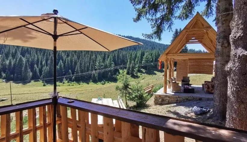 پانسیون Pinetrees Lodge