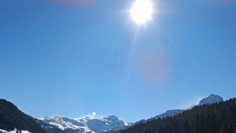 پانسیون Pinetrees Lodge