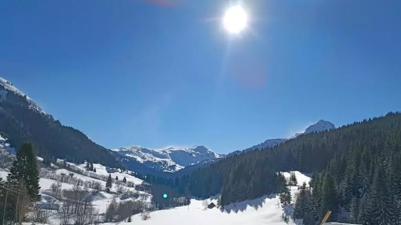 پانسیون Pinetrees Lodge