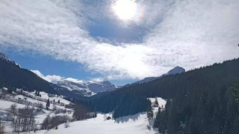 پانسیون Pinetrees Lodge