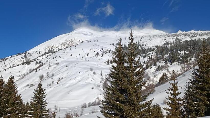 پانسیون Pinetrees Lodge