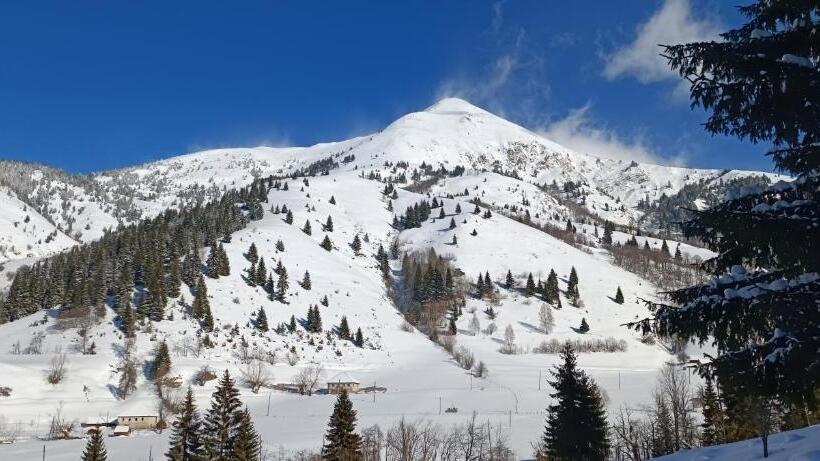 پانسیون Pinetrees Lodge