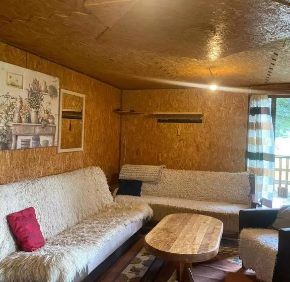 پانسیون Pinetrees Lodge
