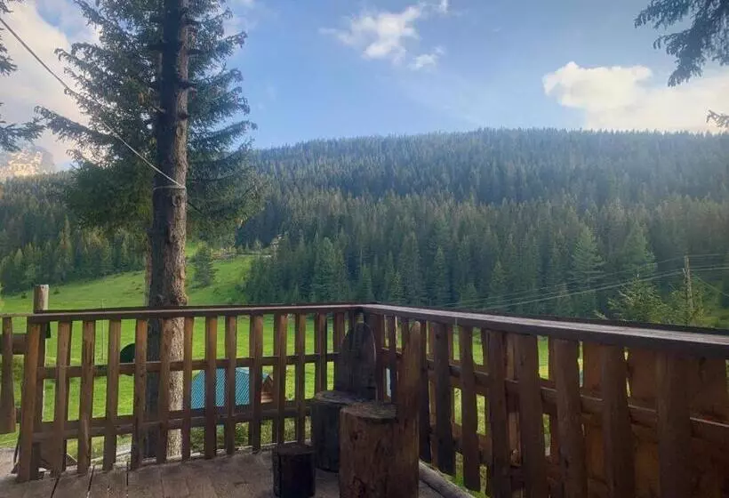 پانسیون Pinetrees Lodge