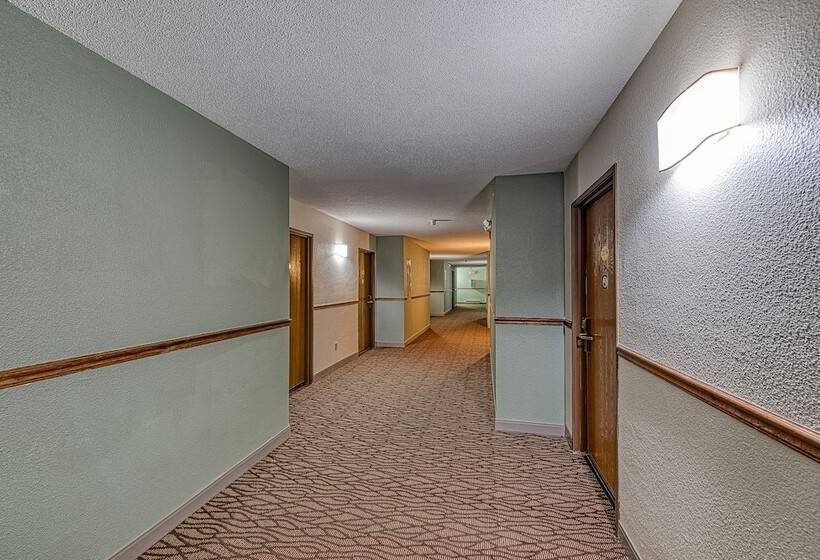 فندق American Inn And Suites Dundee