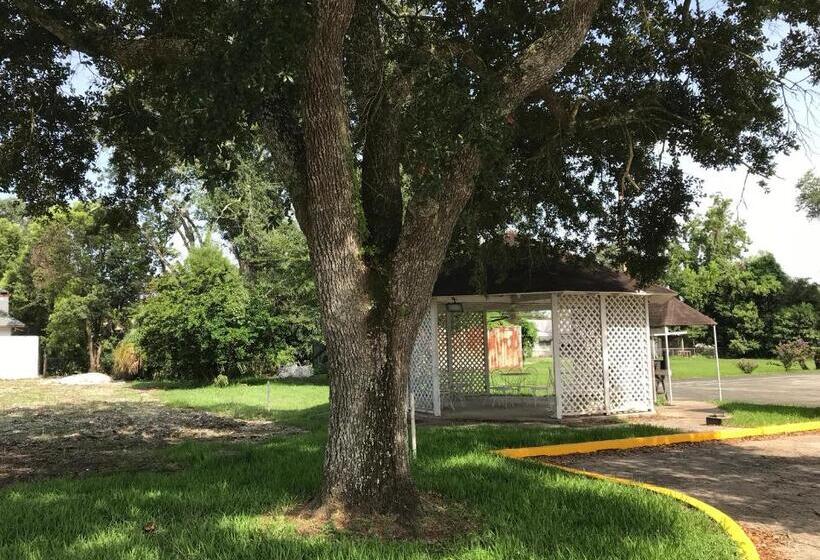 ホテル Carmel Inn And Suites Thibodaux