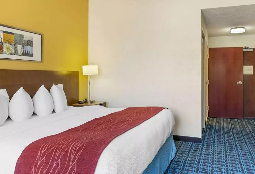 ホテル Comfort Inn & Suites