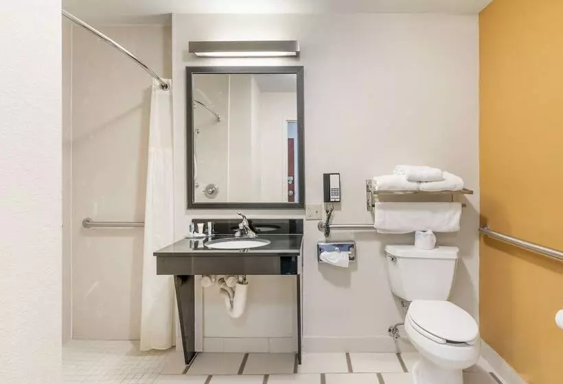 ホテル Comfort Inn & Suites