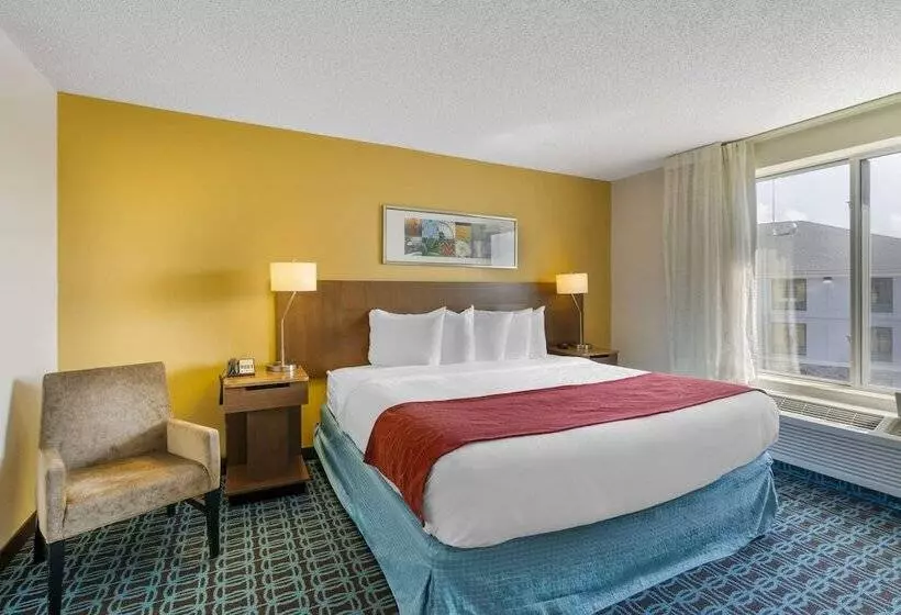 ホテル Comfort Inn & Suites