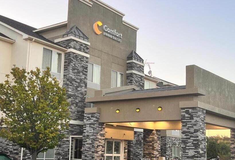 فندق Comfort Inn & Suites