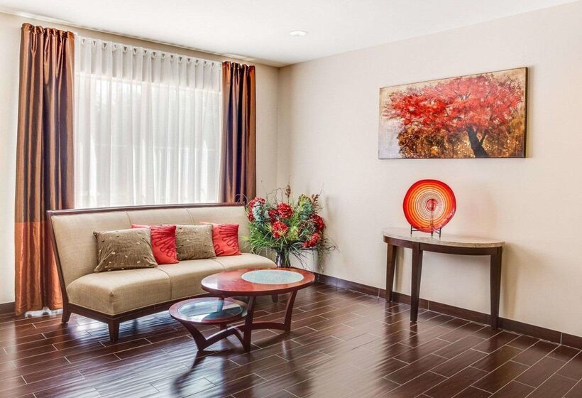 酒店 Comfort Suites Mandeville  Covington