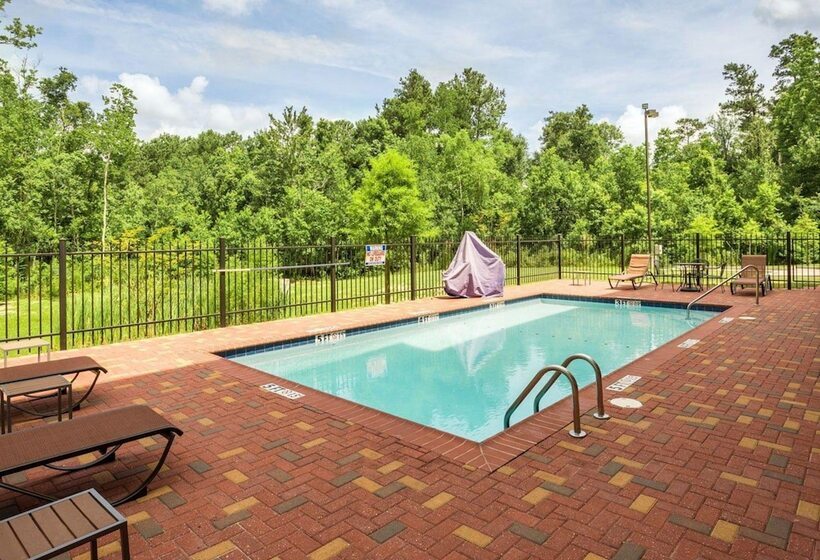 酒店 Comfort Suites Mandeville  Covington