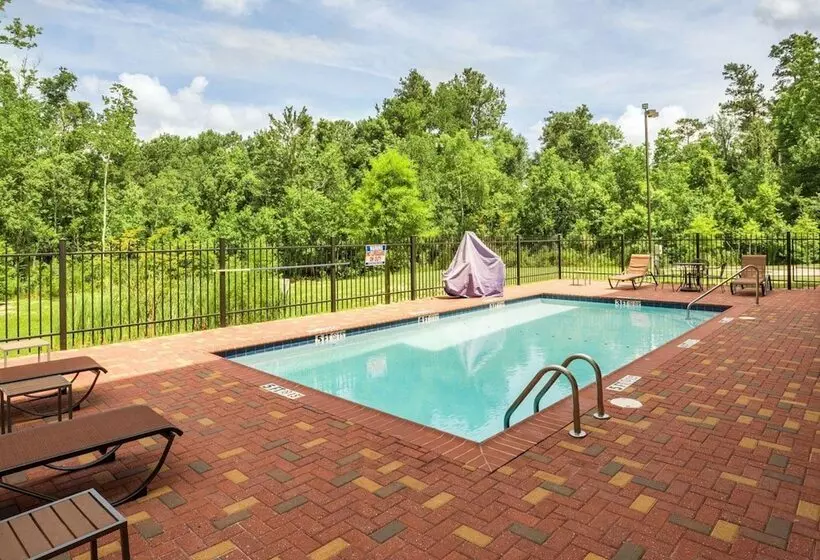 酒店 Comfort Suites Mandeville Covington