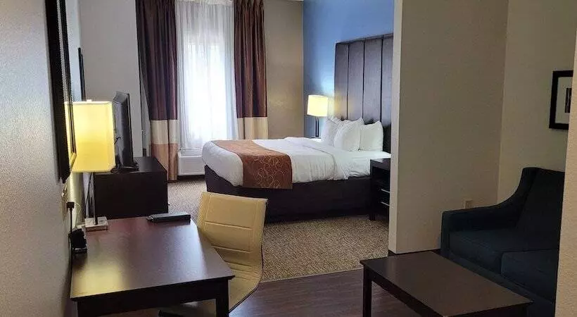 酒店 Comfort Suites Mandeville Covington